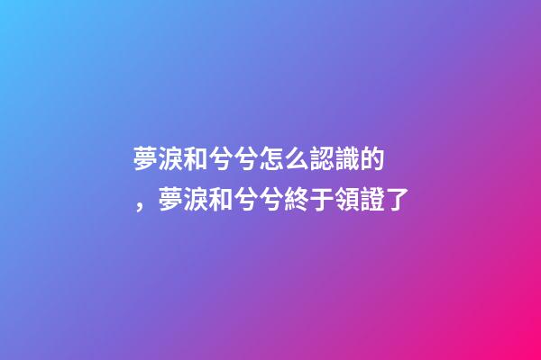 夢淚和兮兮怎么認識的，夢淚和兮兮終于領證了-第1張-觀點-玄機派